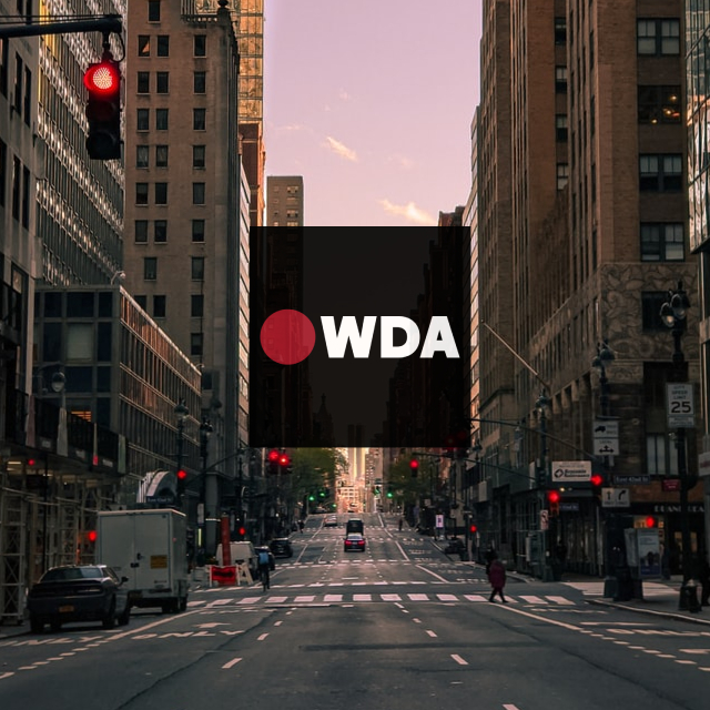 World Dodgeball Association