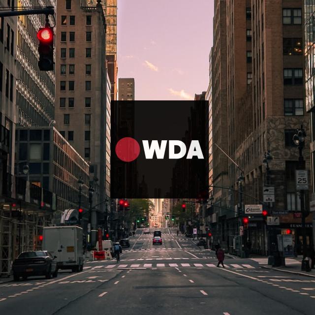 WDA World Dodgeball Association - One of 110th Street Creative Social Marketing Many Success Stories